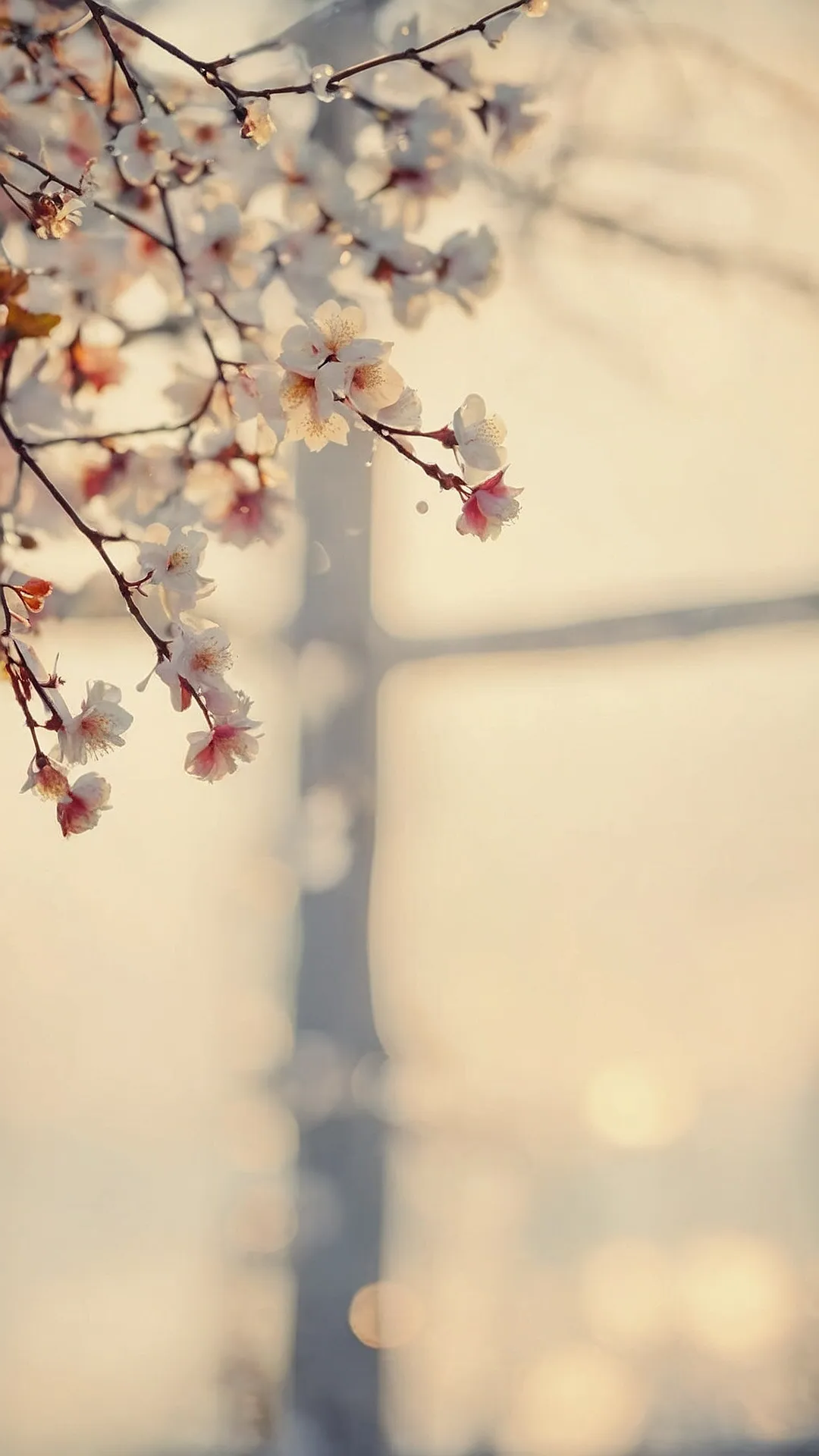#6 Botanical Brilliance Wallpaper