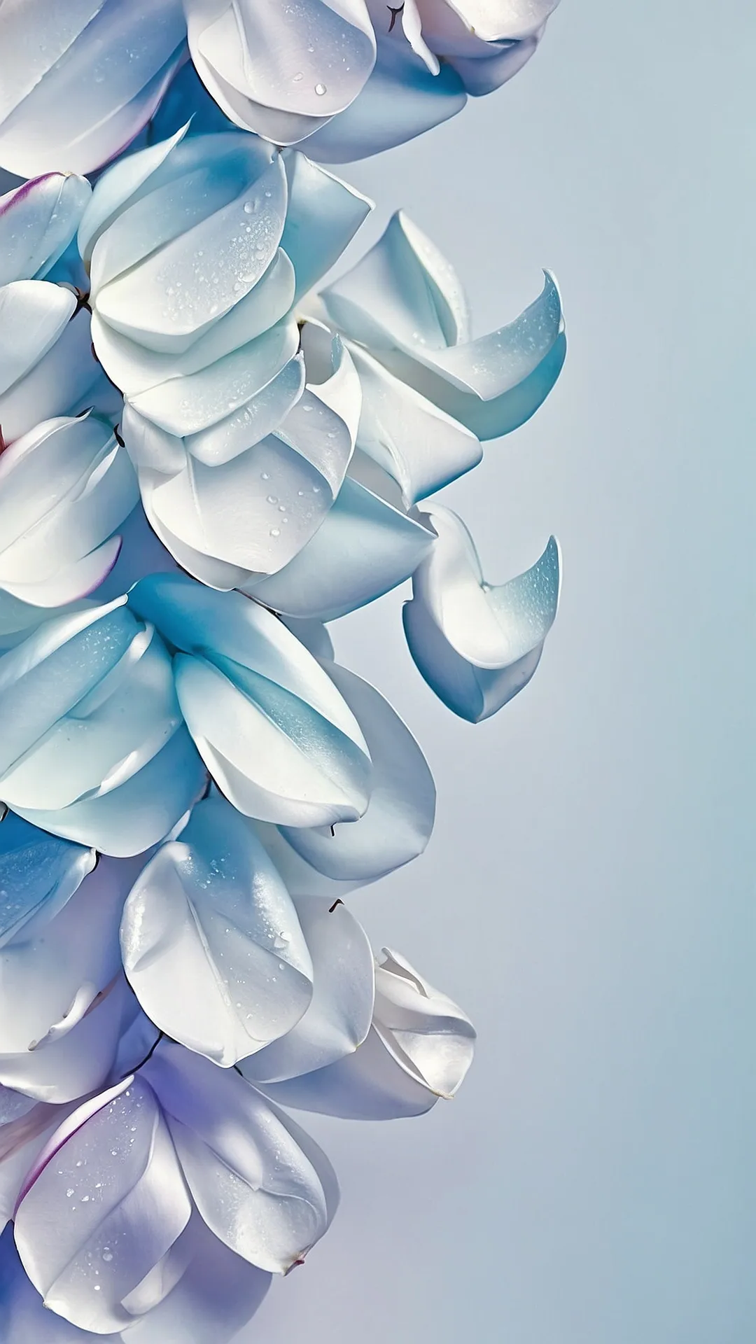 Floral Euphoria Wallpaper