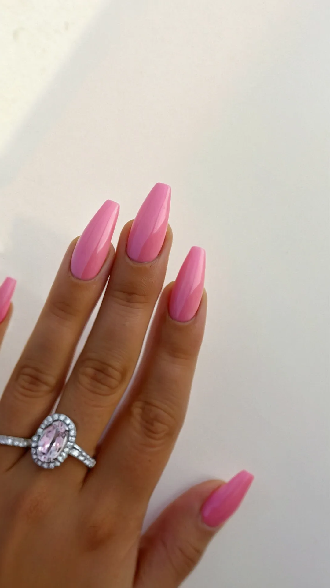 #8 Rose Claws Reign